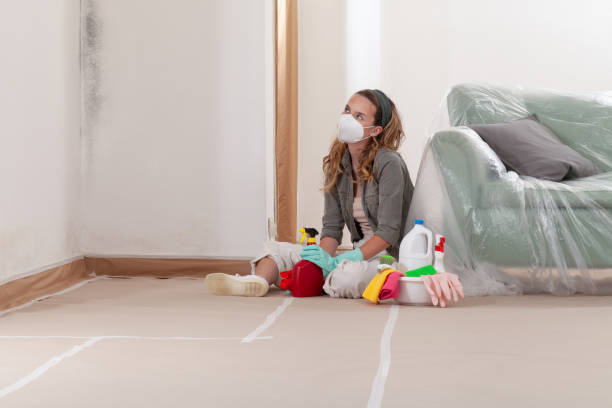 Reliable Mold Inspection contractor in Catonsville, MD by WQB Mold Removal